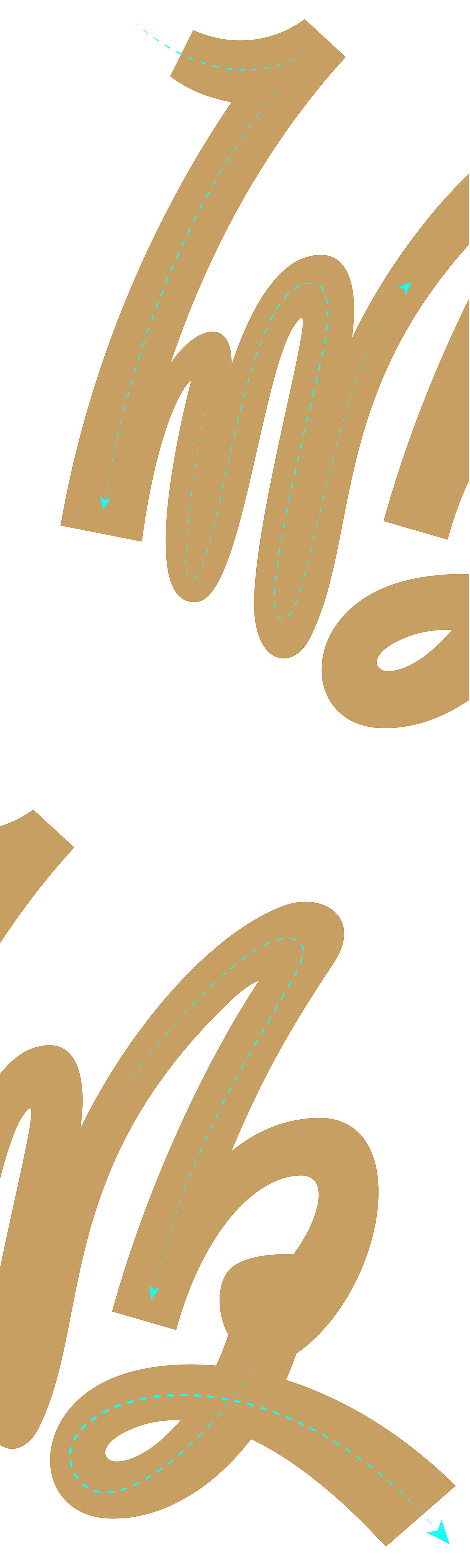 顺子说茶一周年庆形象&礼盒设计