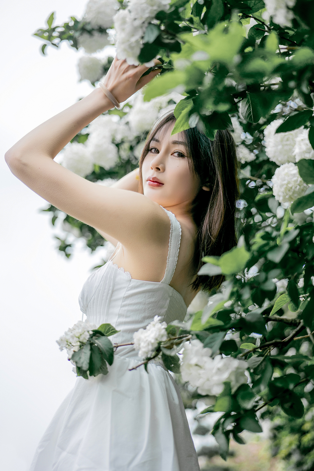 一年一度绣球花（图ZMzY2MzE0MDUy） - 人像摄影 - 站酷设计师半城印象小九原创素材 - 站酷ZCOOL