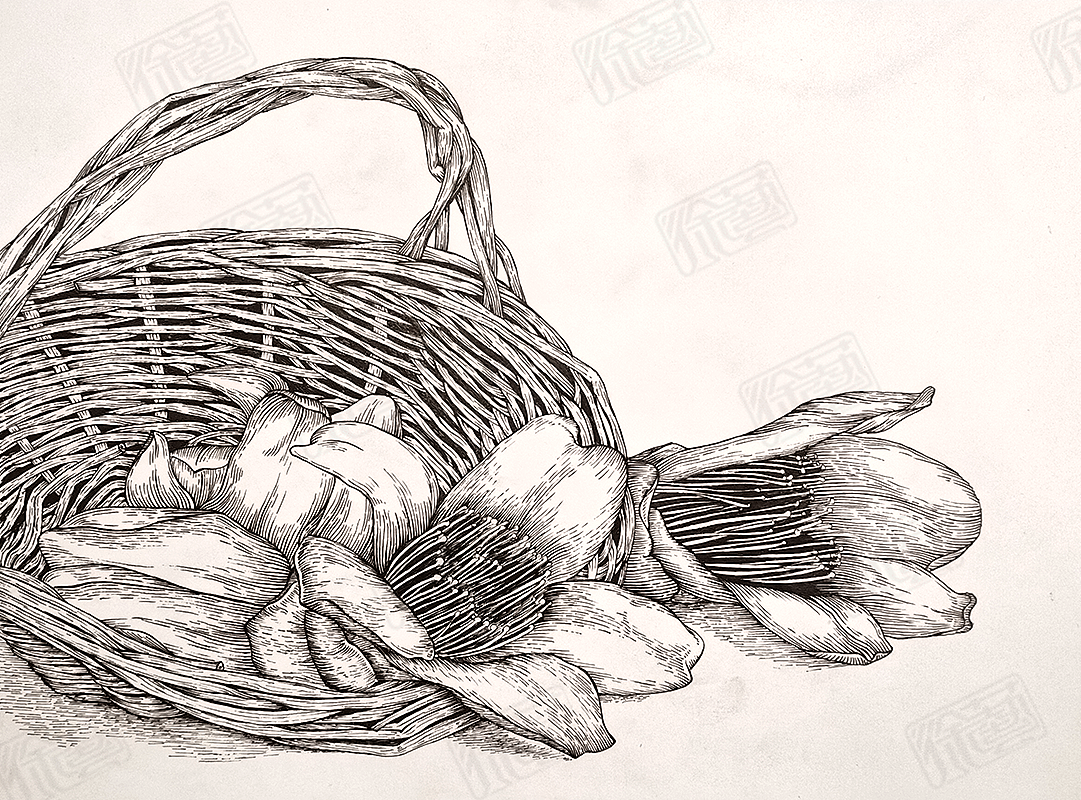 木棉花与竹篮的插画