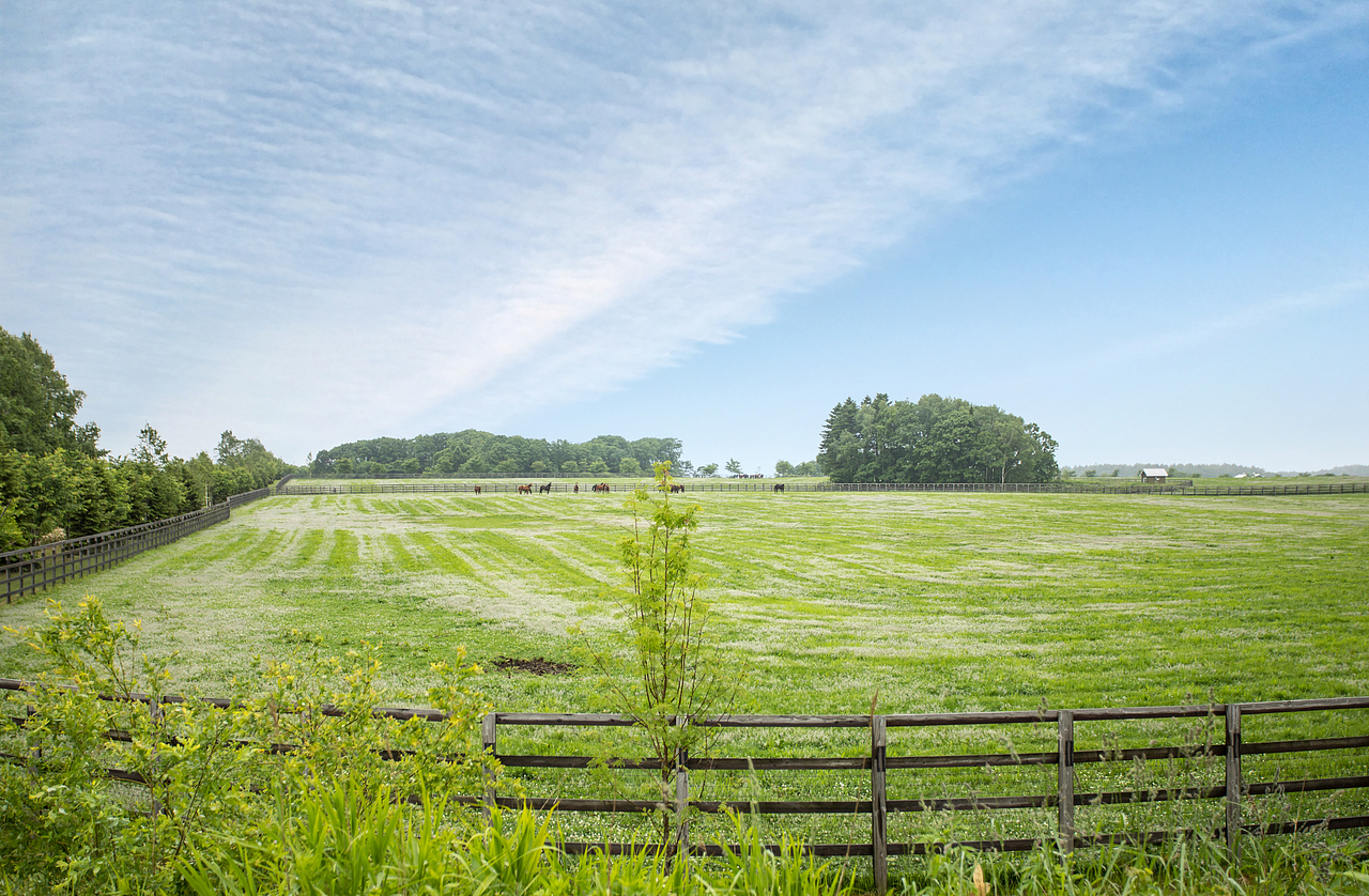 【栾波景观摄影】农业景观摄影|日本北海道十胜地区