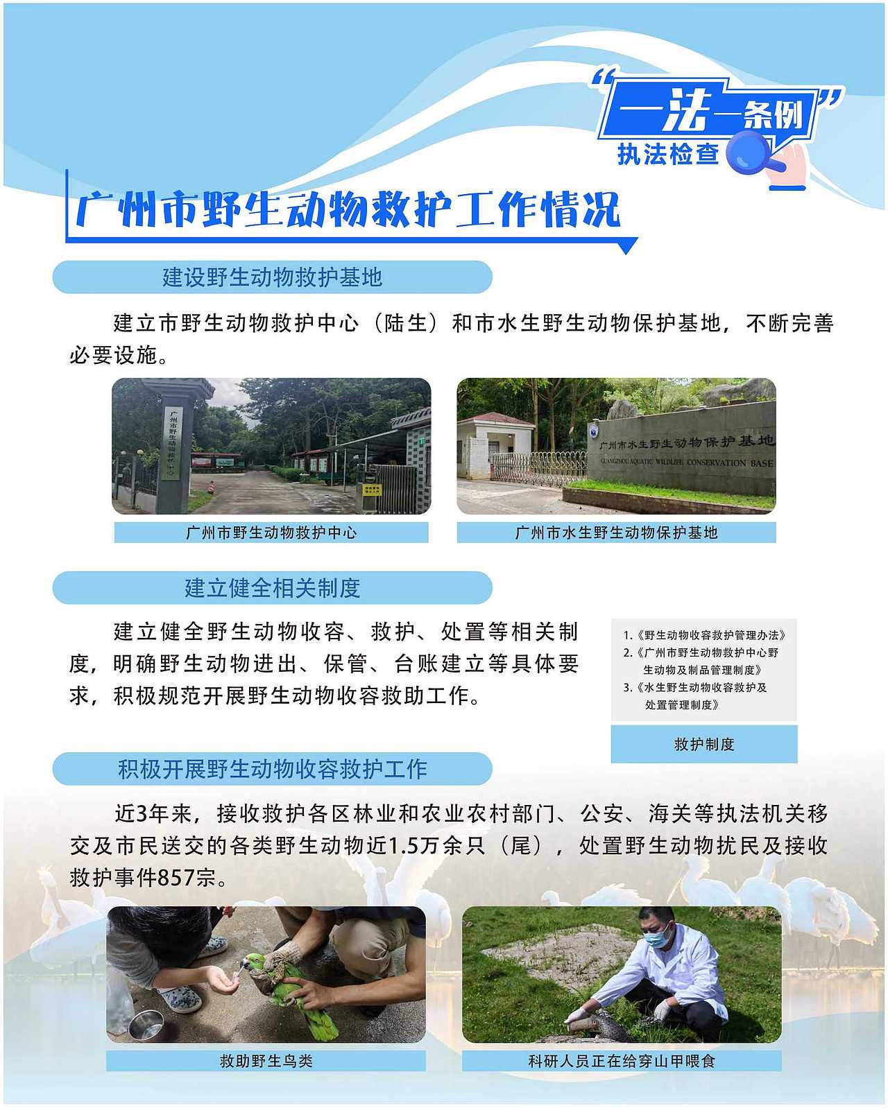 普法展板-保护野生动物-湿地资源