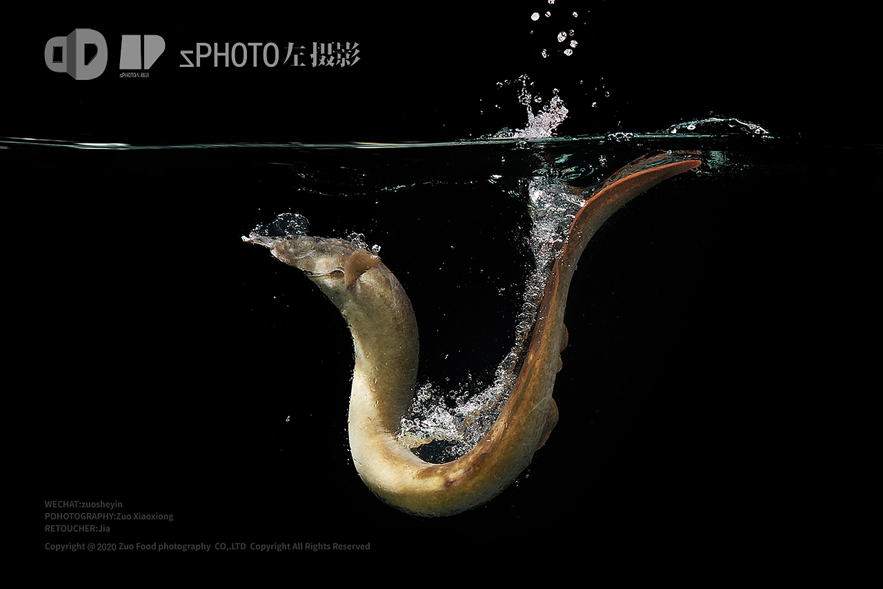 美食摄影【东海小渔村】@左摄影