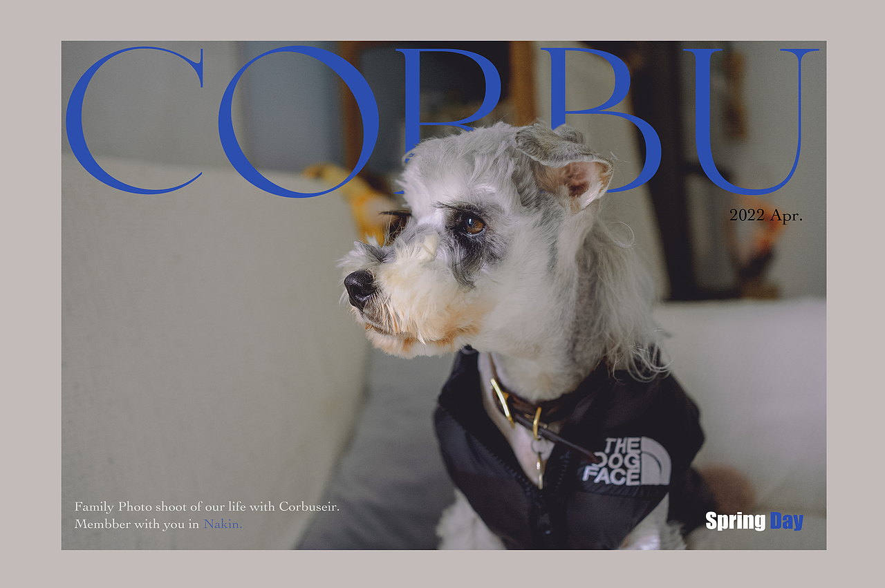 女生手中sony A7c能有多好用呢（图ZMzAyNDgxMTUy） - 人像摄影 - 站酷设计师原来是惊蛰啊原创素材 - 站酷ZCOOL