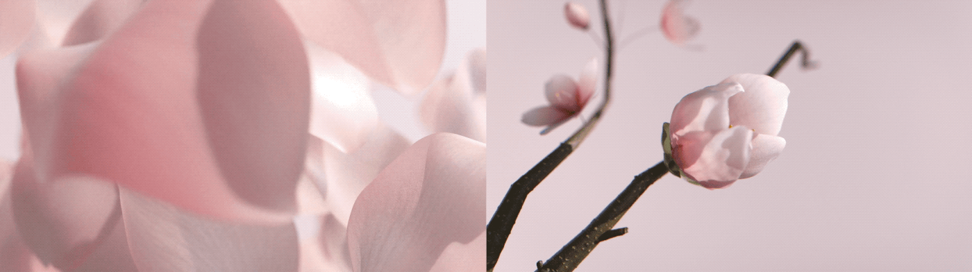 SIG x 大麗和和珠宝花耀系列产品创意TVC