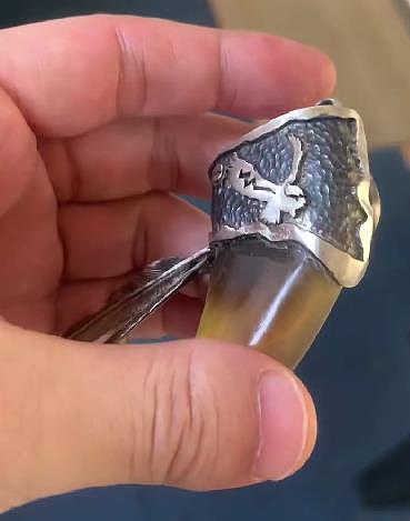 如何让一只小鸡爪变成有梦想的老鹰