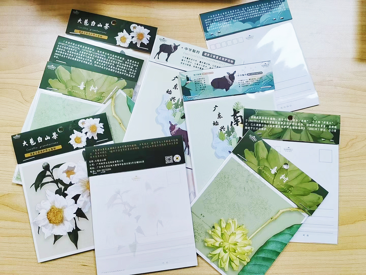 插画文创周边——植物篇（图ZMzAzNzMwMzQ4） - 品牌 - 站酷设计师懒九五原创素材 - 站酷ZCOOL