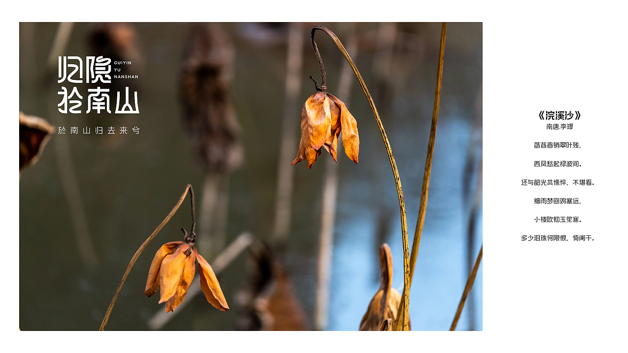 歸隱於南山·字體設(shè)計(jì)（圖ZMzUzOTYyMTg4） - 字體/字形 - 站酷設(shè)計(jì)師漁家傲原創(chuàng)素材 - 站酷ZCOOL