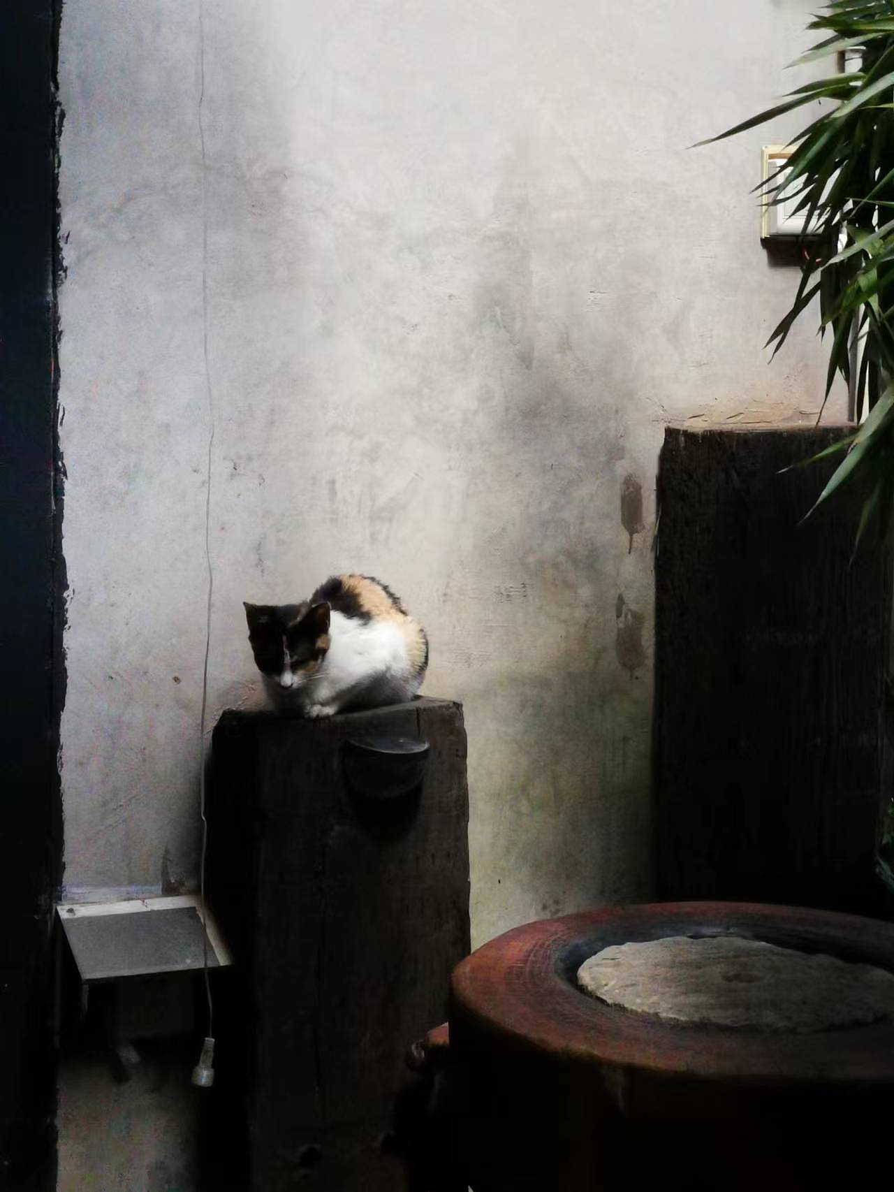 《三花》华为mate20 2022/8 昆明设计创新园