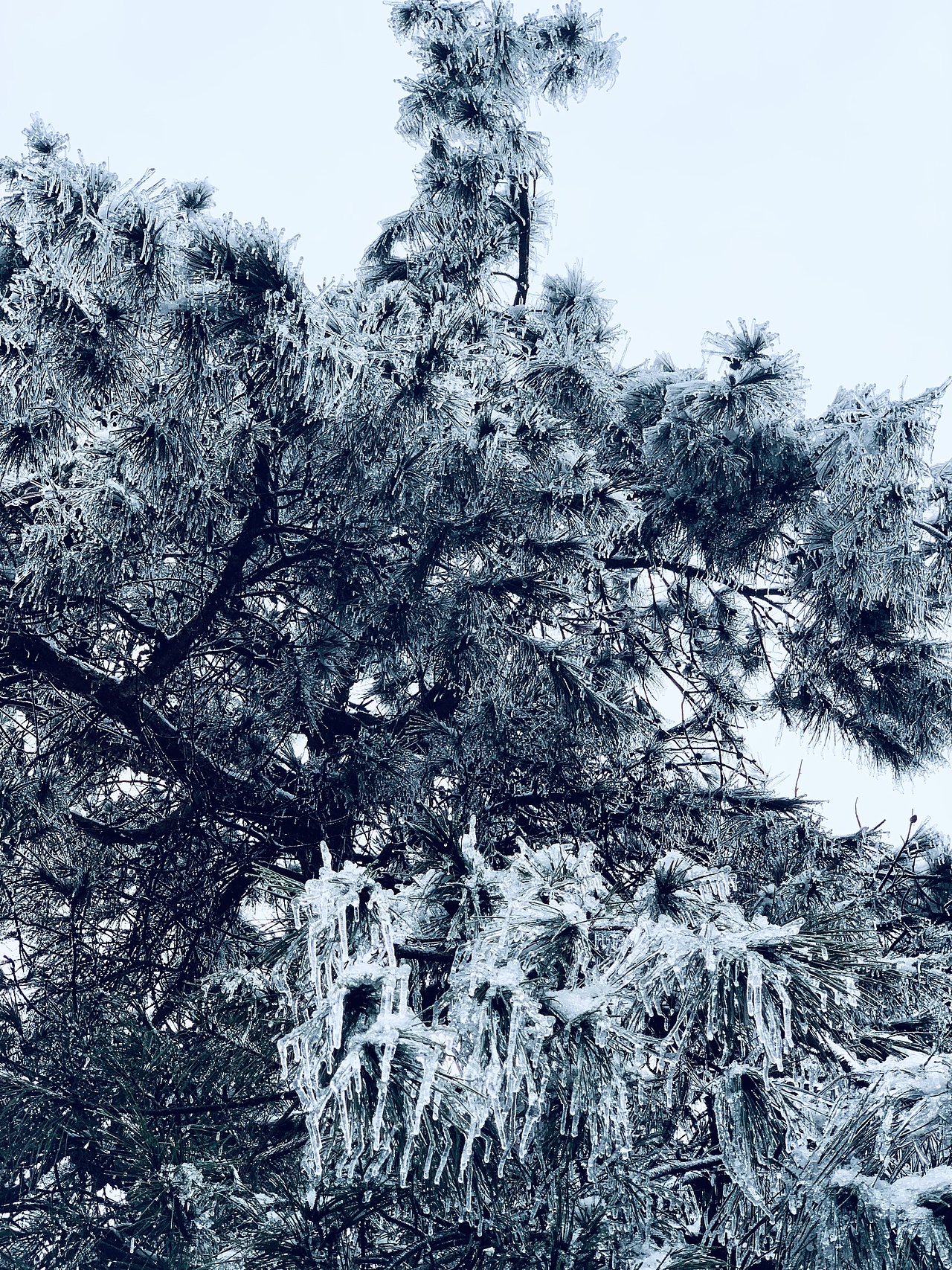 我眼中的冰雪世界（图ZMzI4NjEzMzQw） - 风光摄影 - 站酷设计师欧进辉原创素材 - 站酷ZCOOL