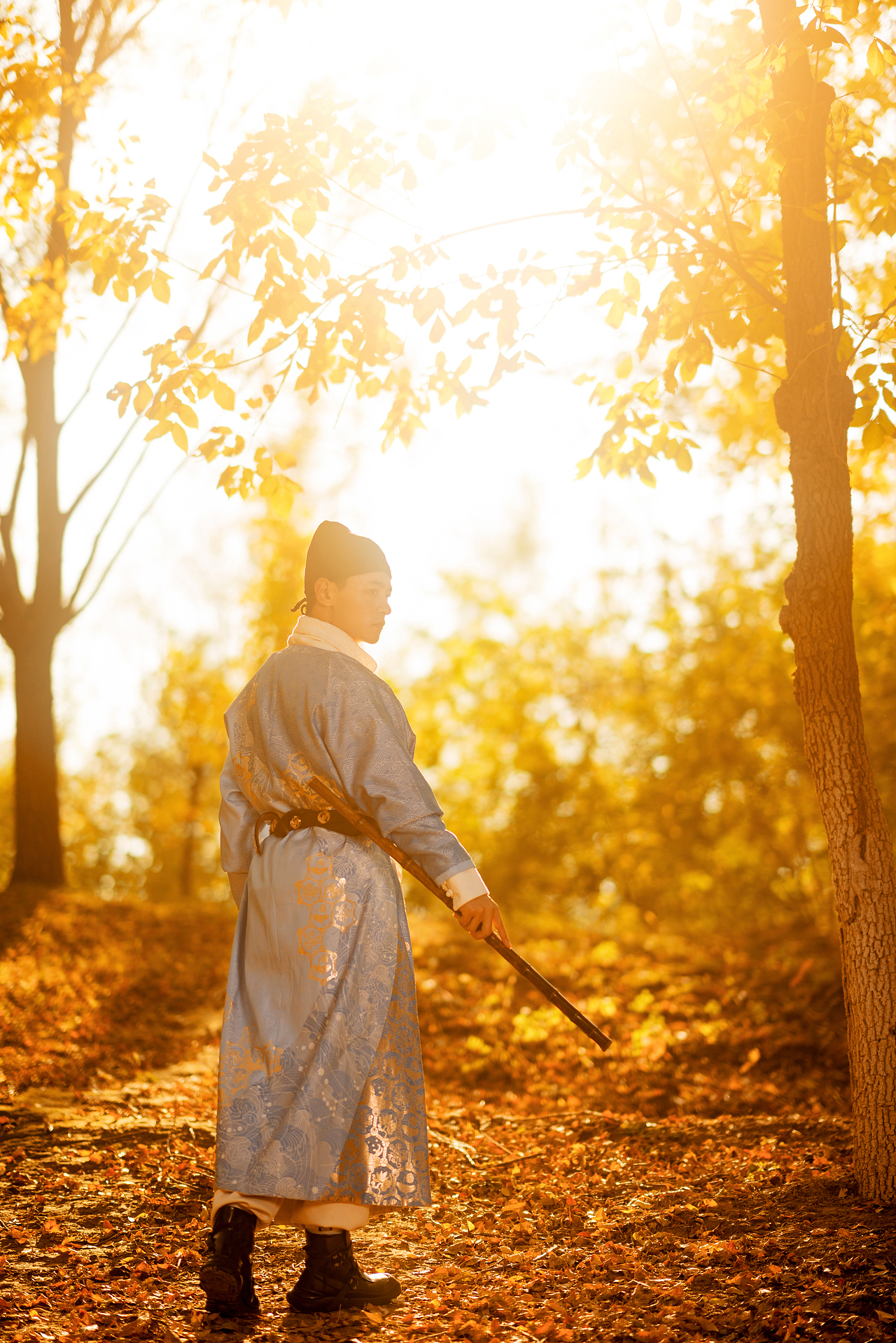 晚秋奥森银杏林的时空邂逅
