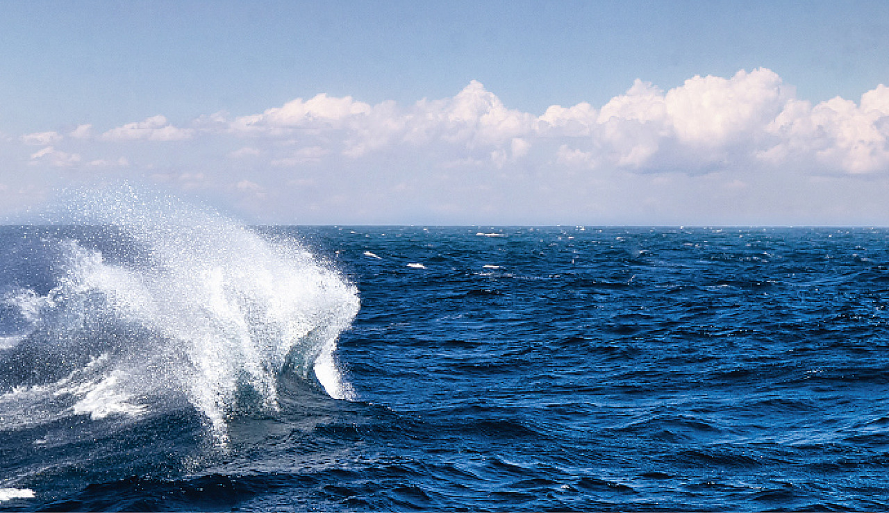 温江区篮球协会（图ZMzEyMDEyMTQ4） - Logo - 站酷设计师赞blieve原创素材 - 站酷ZCOOL