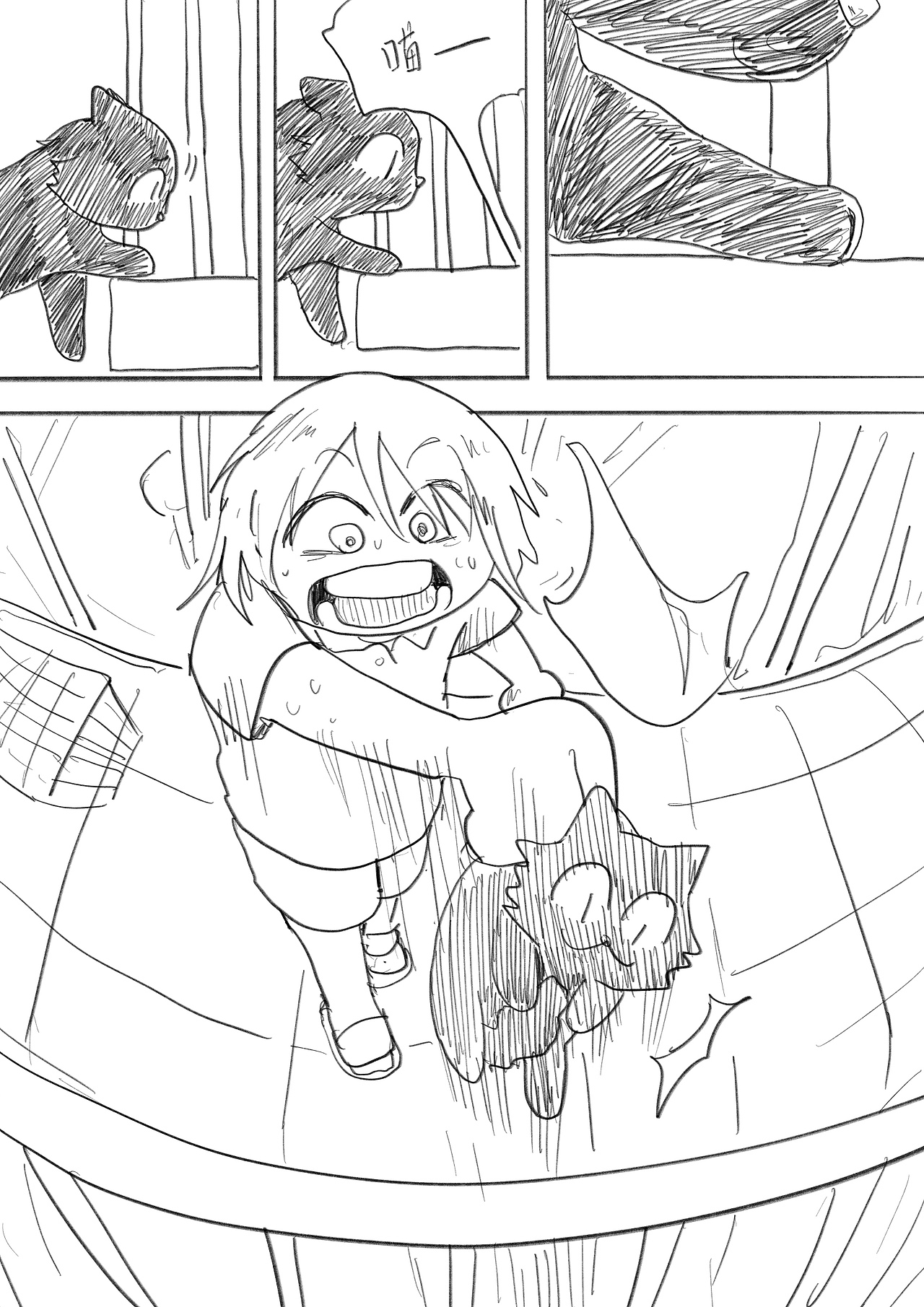 夏天、煤球和我的不舍