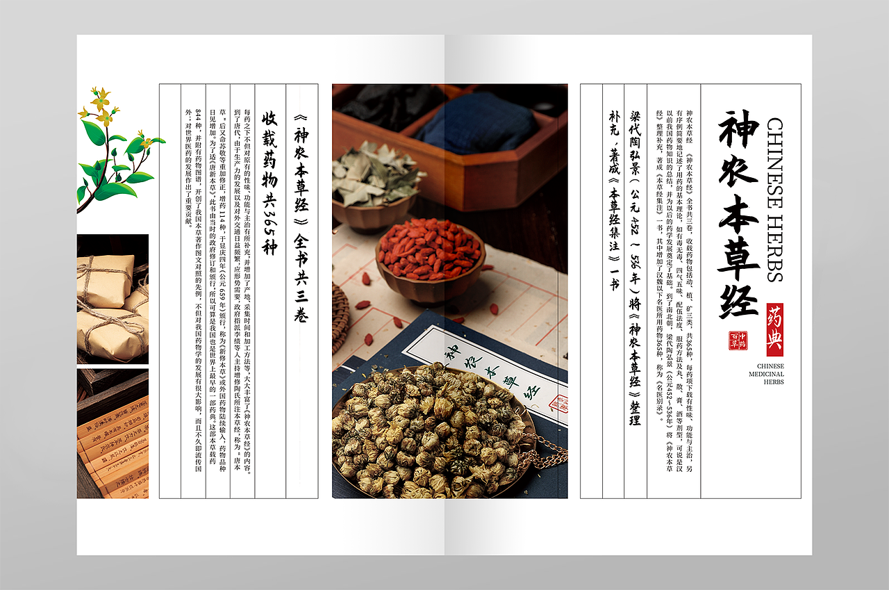 中药画册（图ZMzQ3MDMwMzIw） - 书籍/画册 - 站酷设计师686868王小真原创素材 - 站酷ZCOOL