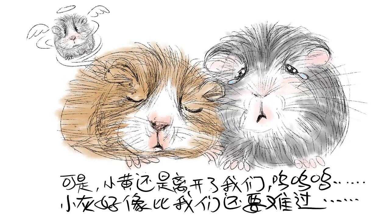 说一说童年难忘惊悚轶事(故事有点长)