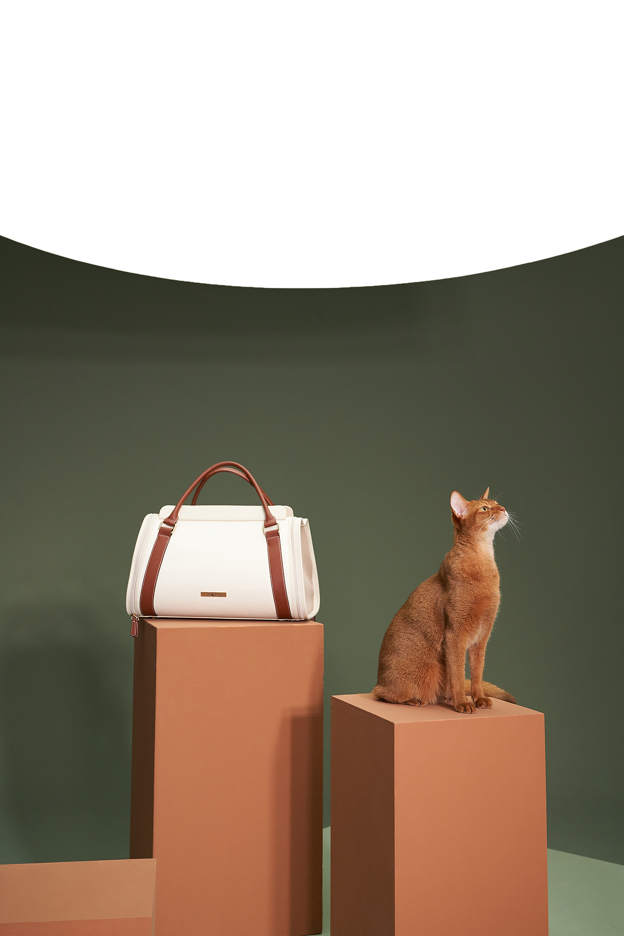 「VOOCOO出行系列」宠物出行猫包（图ZMzIyMjkyODY0） - 生活用品 - 站酷设计师VictorLance原创素材 - 站酷ZCOOL