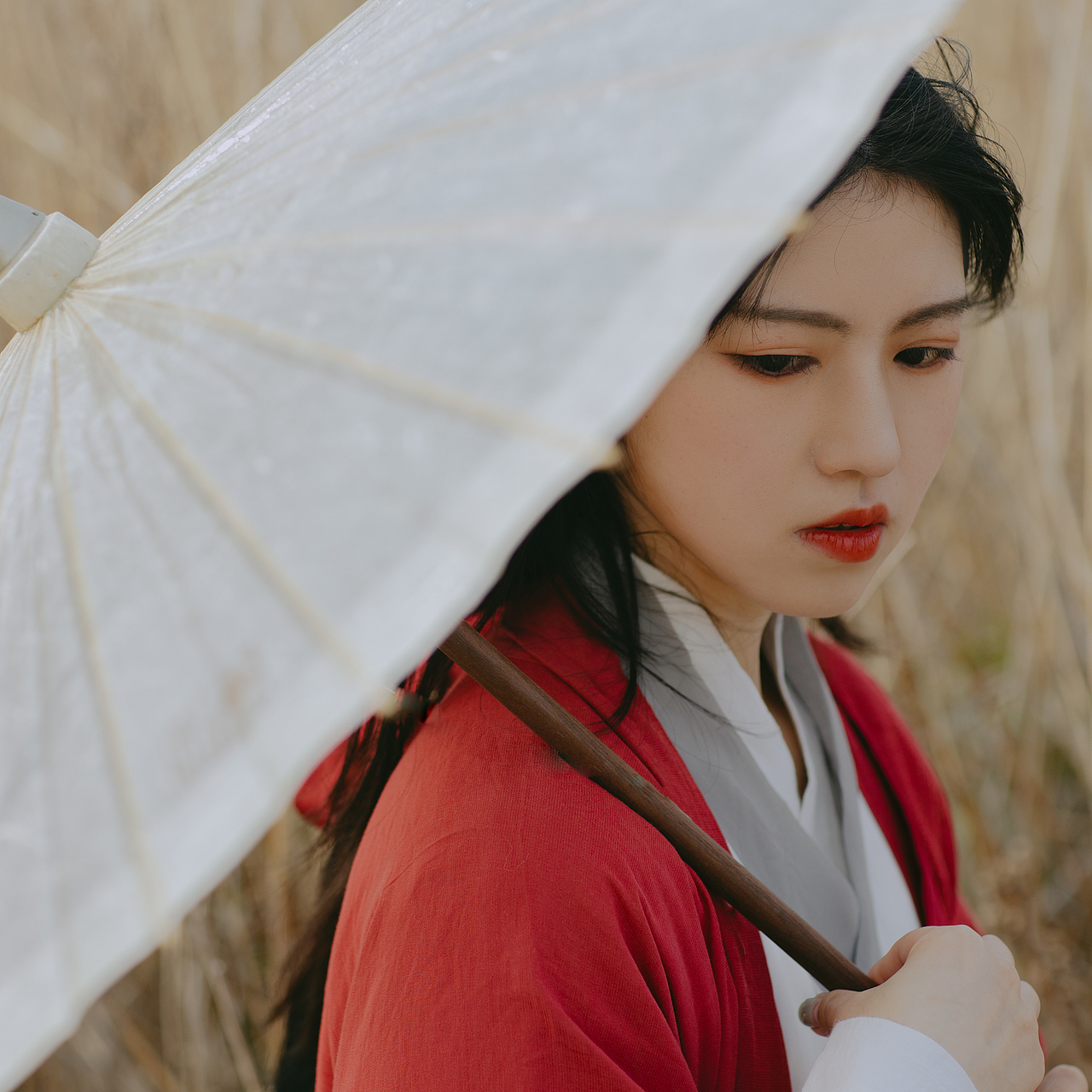 昔我往矣,杨柳依依。