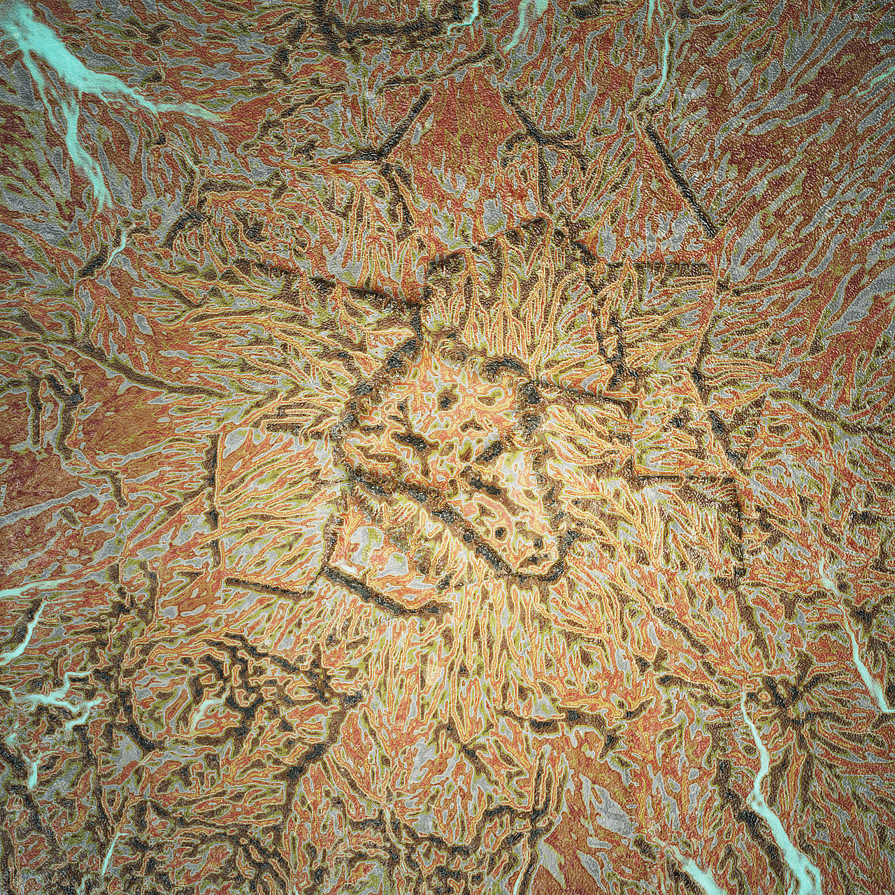 【娃紫Studio_训练案例】