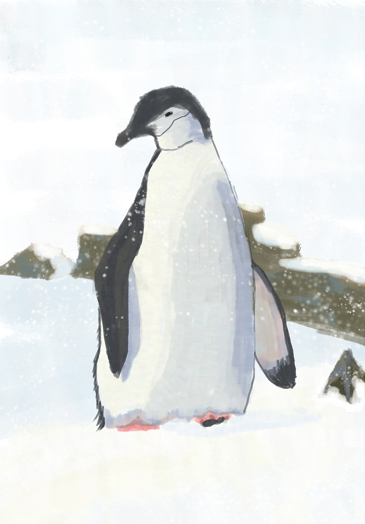 小动物和下雪天更配day6