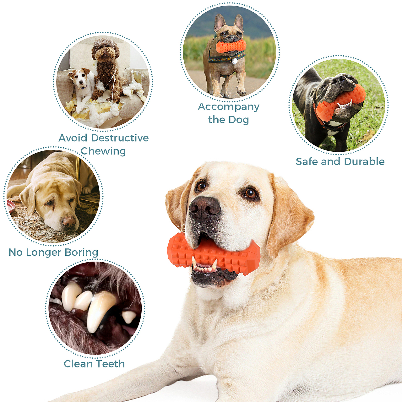 亚马逊宠物玩具