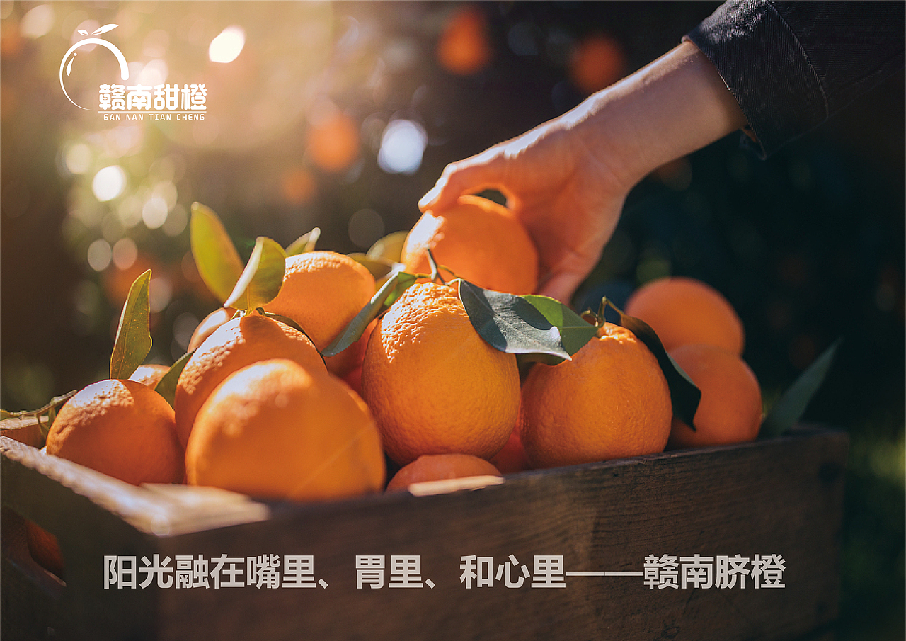 赣南甜橙视觉识别手册