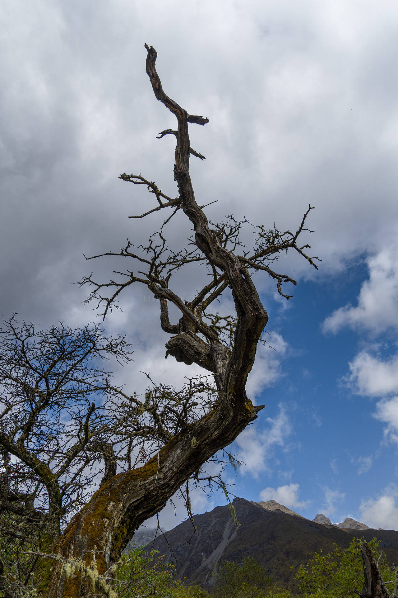川西摄影（图ZMjk5MDAwMTky） - 风光摄影 - 站酷设计师MikaShane原创素材 - 站酷ZCOOL