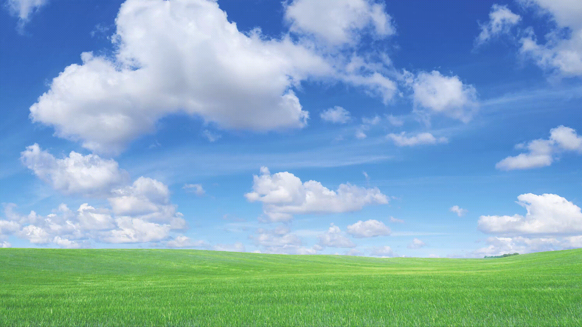 中創(chuàng)至道 | KUMOKUMO 來自北海道的芝士蛋糕（圖ZMzA0MjU2MzI4） - 品牌 - 站酷設(shè)計師至道品牌原創(chuàng)素材 - 站酷ZCOOL