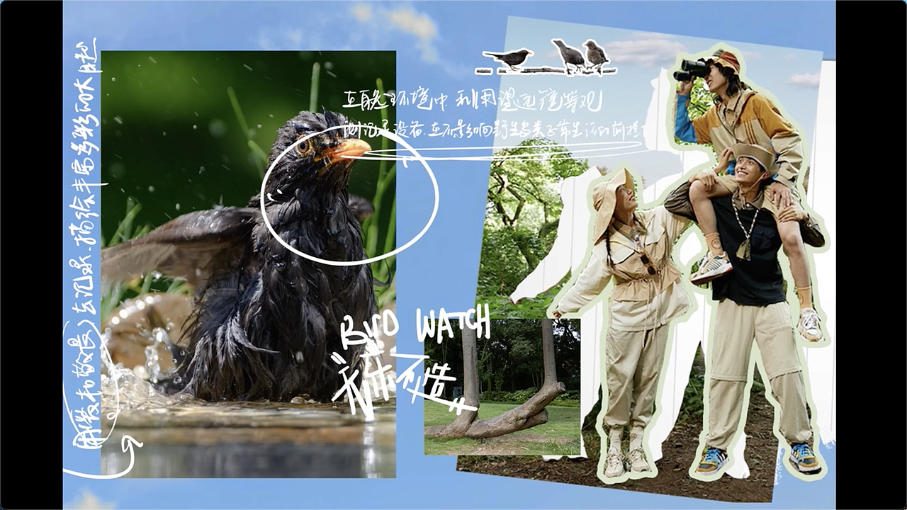 Adidas NEO 观鸟主题作品