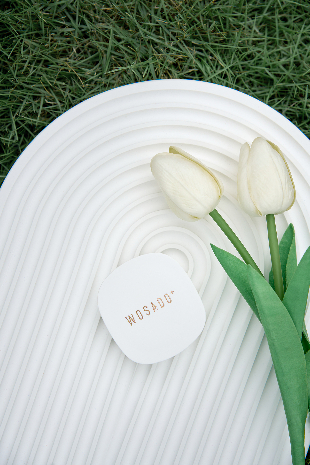 光——春天系列