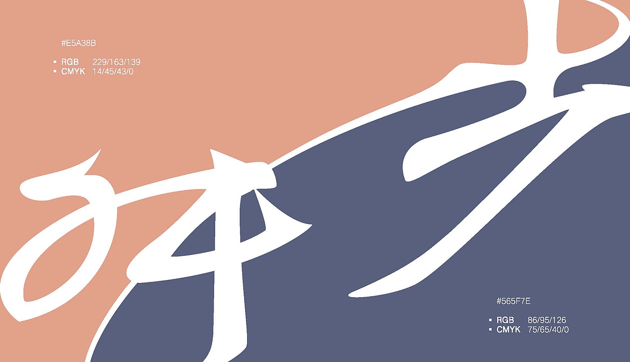 梦想舞者logo品牌全案设计