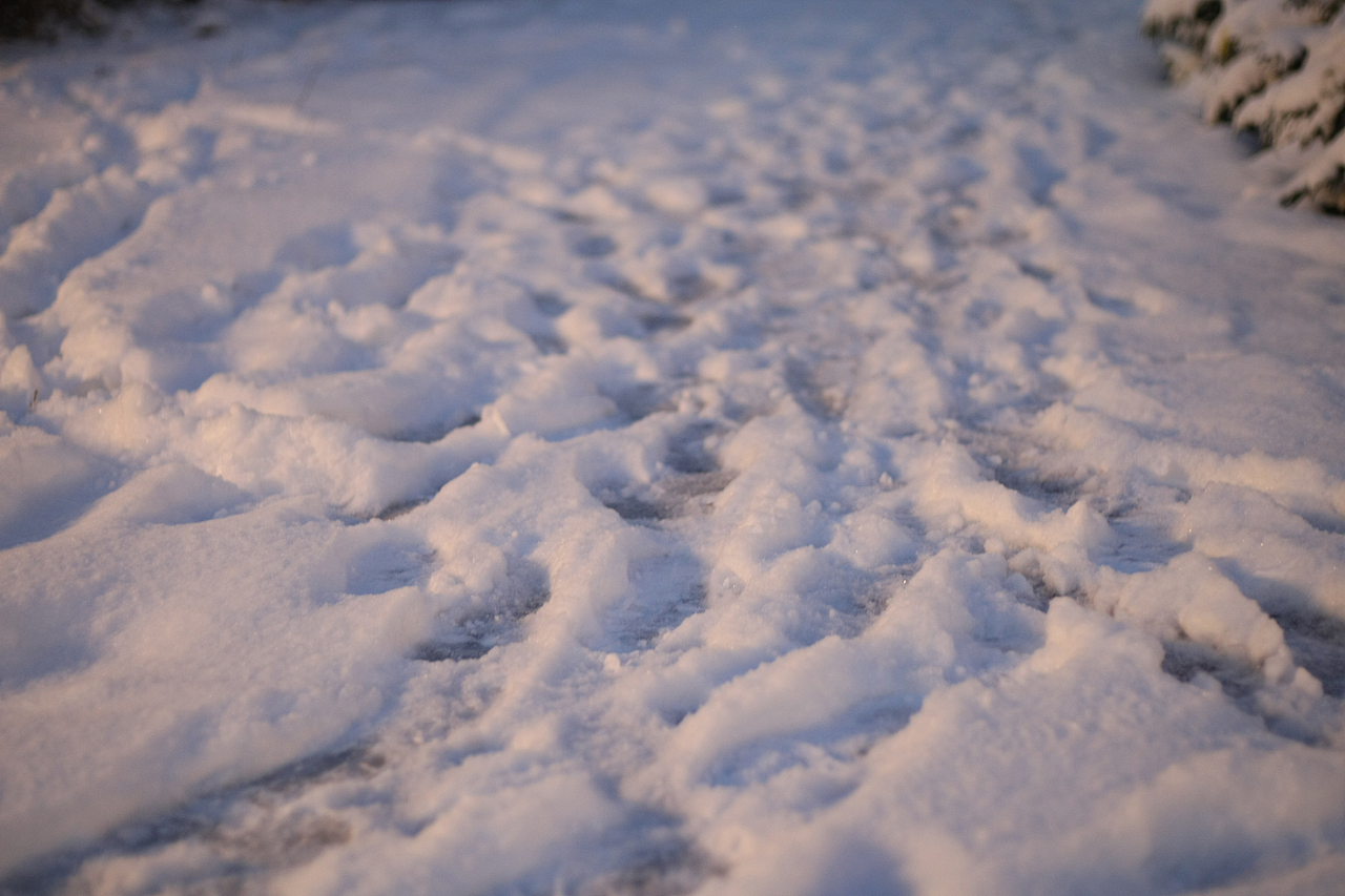 2022年的第二场雪