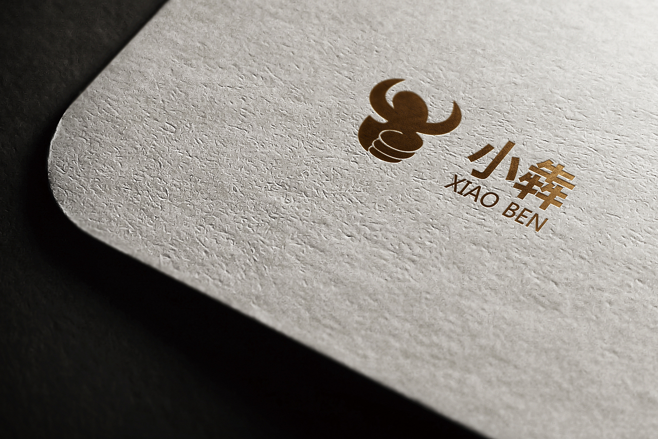 广东广州小犇金融VI设计案例