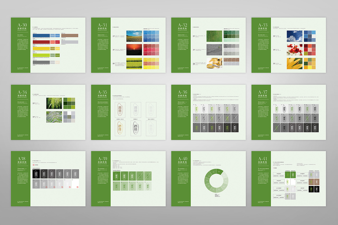习米集团VIS手册(完整版)