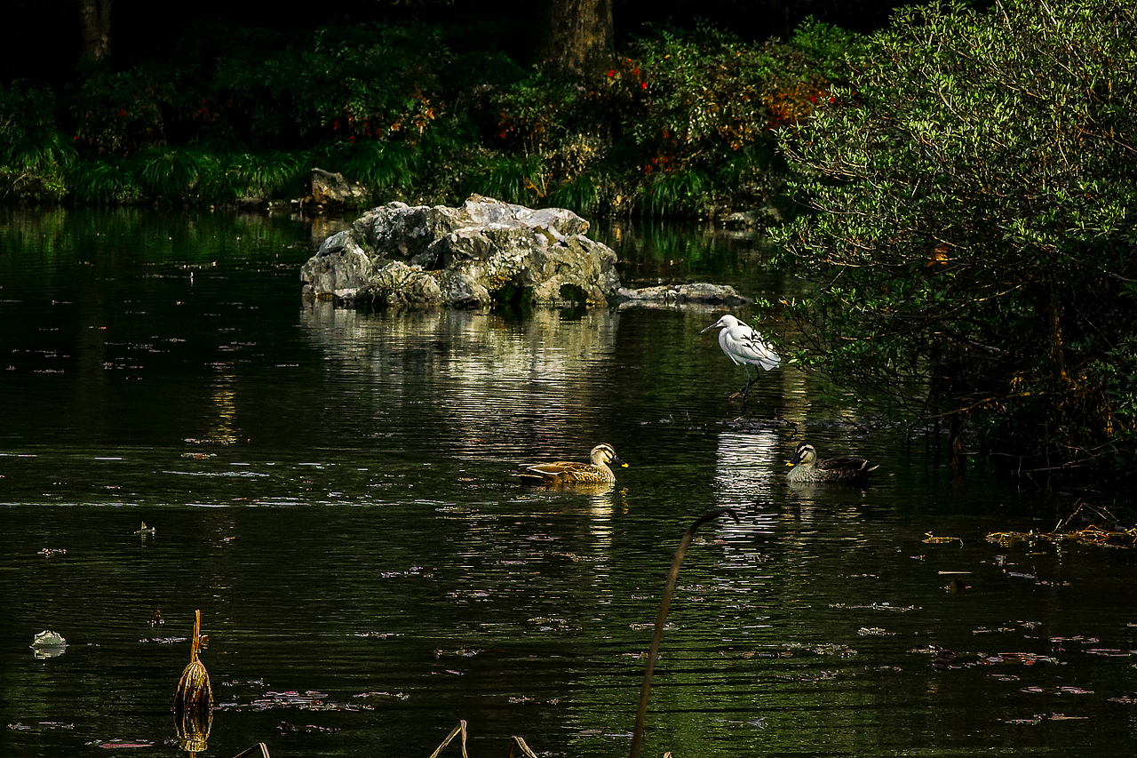 城市风貌系列6（图ZMzYzMTQ2MTQ0） - 风光摄影 - 站酷设计师莫潘原创素材 - 站酷ZCOOL