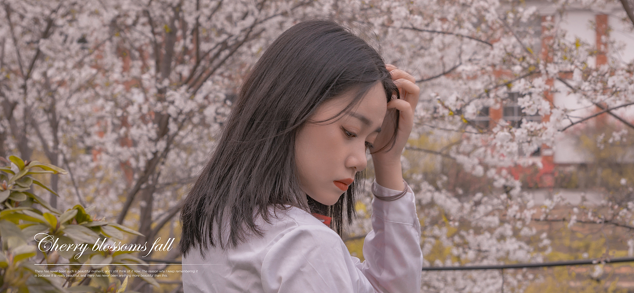 Passage 15.白樱