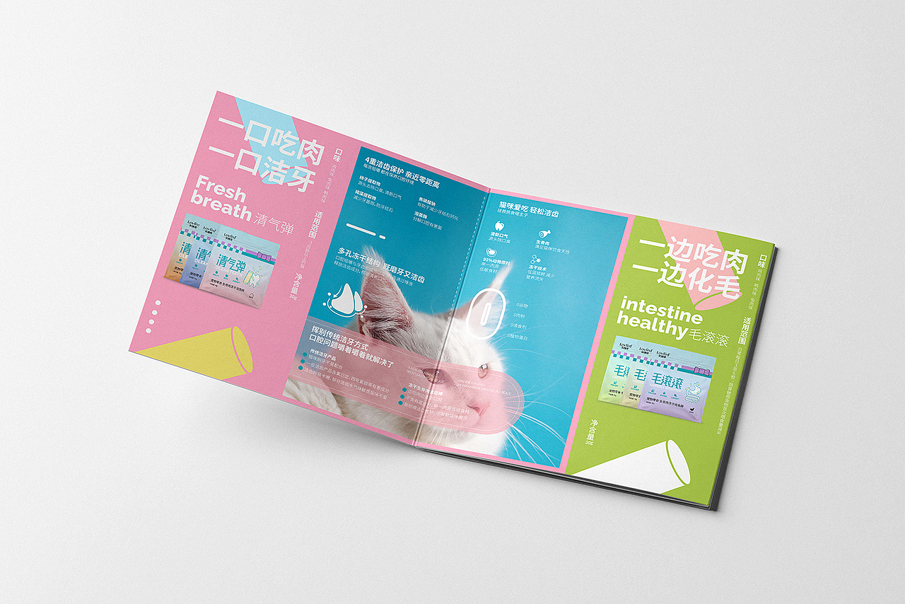   宠物主粮 I 折页设计 I  品牌手册设计 I  宠物零食 