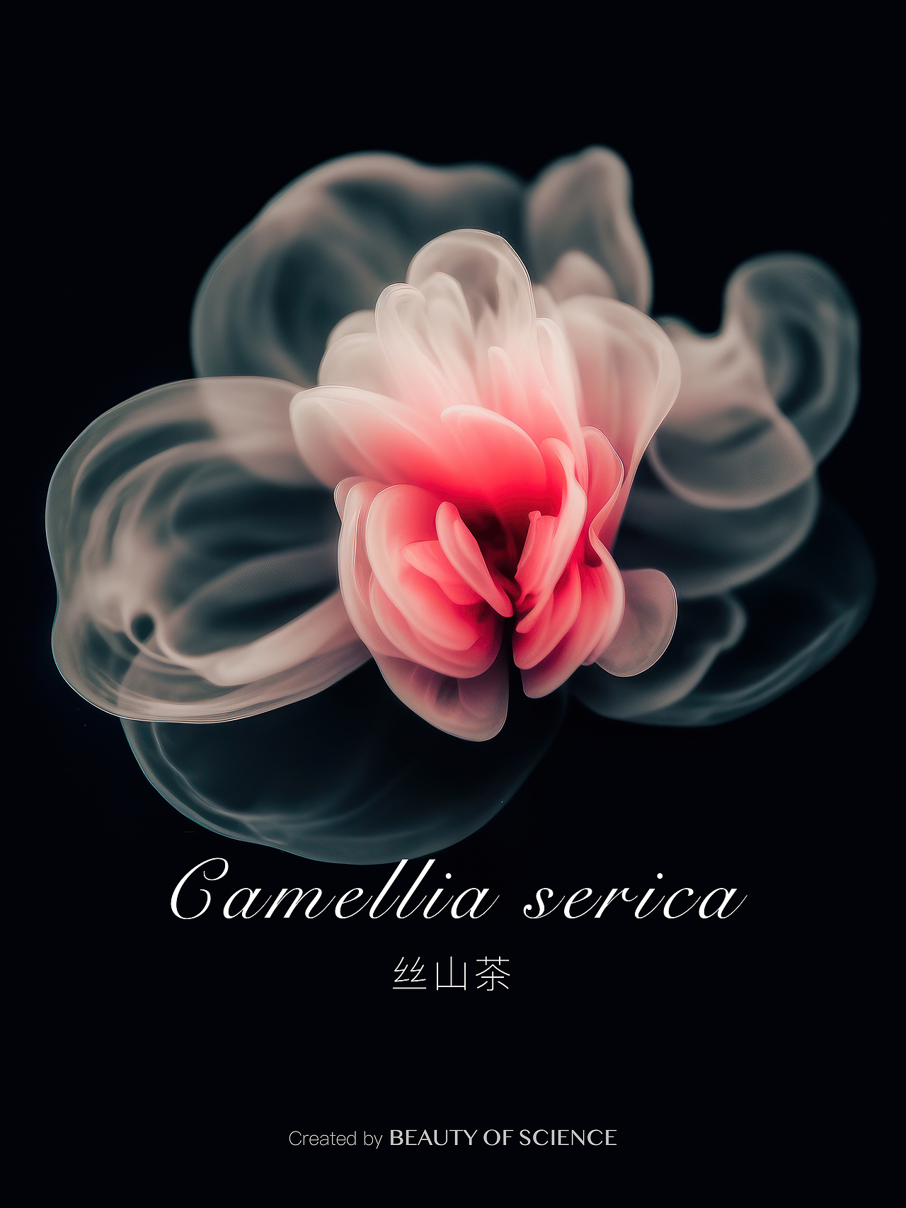 AI创作实验｜奇观之谷