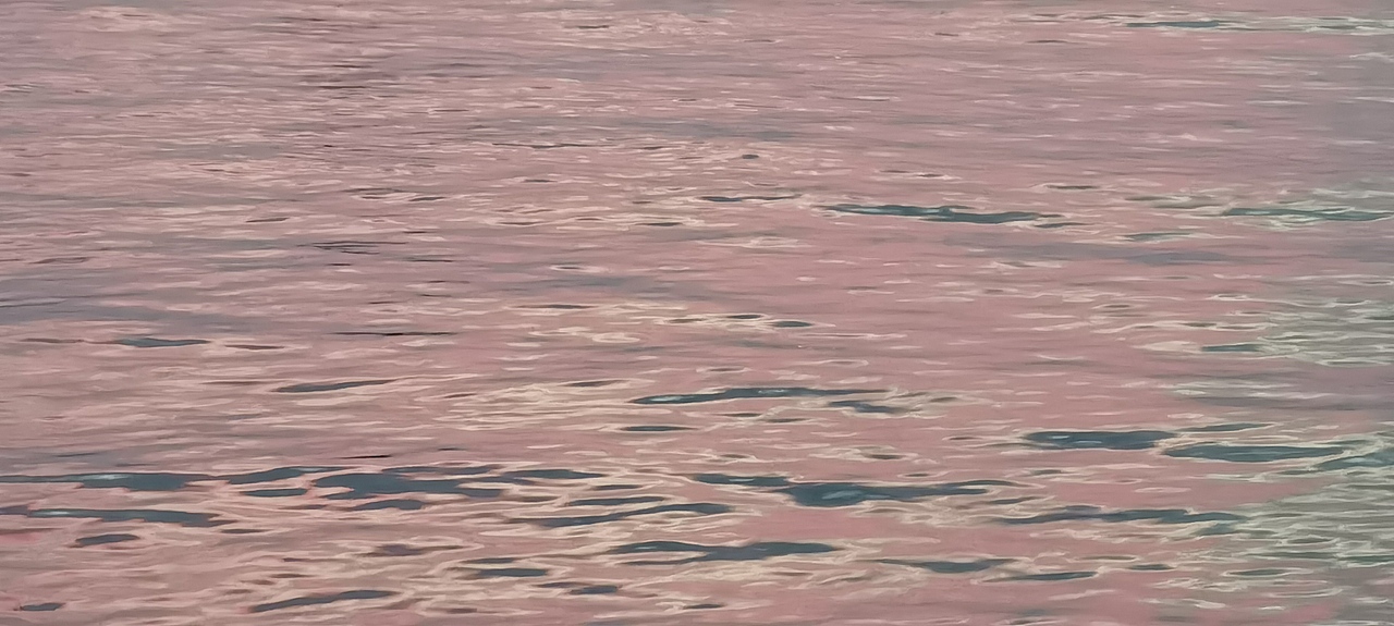 日 与月 与云 与草 与林 与山海 还有花