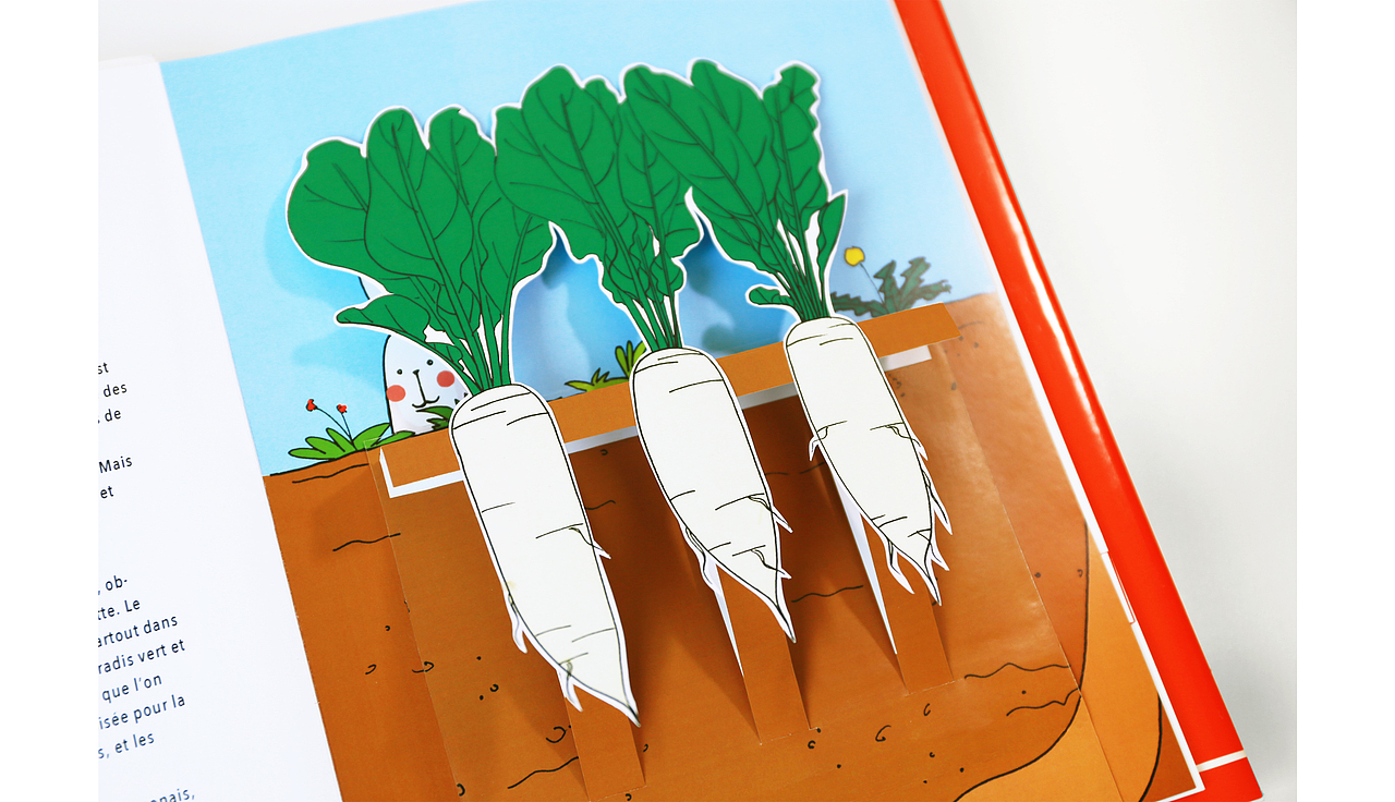 饮食立体书 - 《100% DÉLICIEUX》