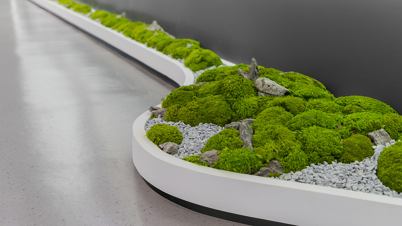 柒米设计 | 白泽细胞