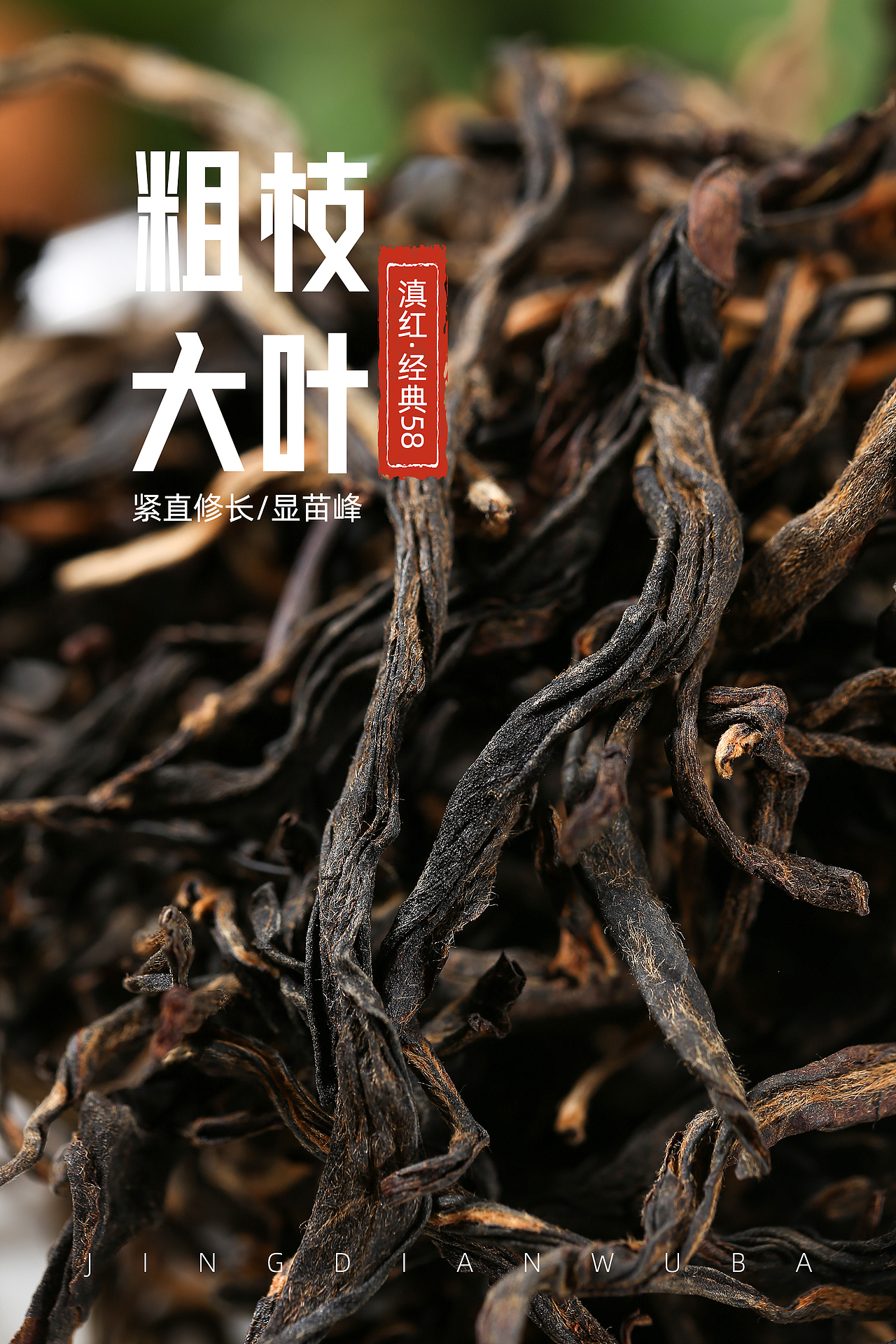 茶叶摄影(经典58)