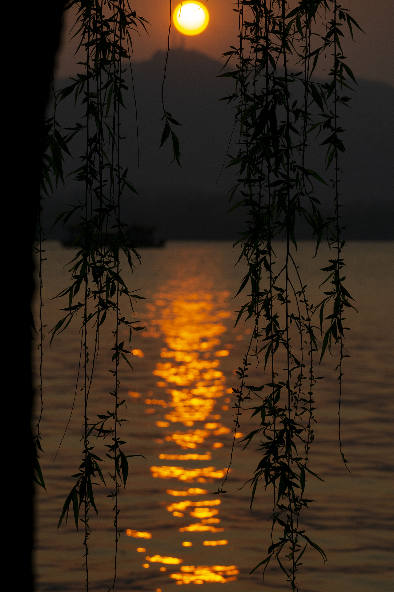 2022-2023年度照片📷（图ZMzU4NTA2MTc2） - 风光摄影 - 站酷设计师程小灰啊原创素材 - 站酷ZCOOL