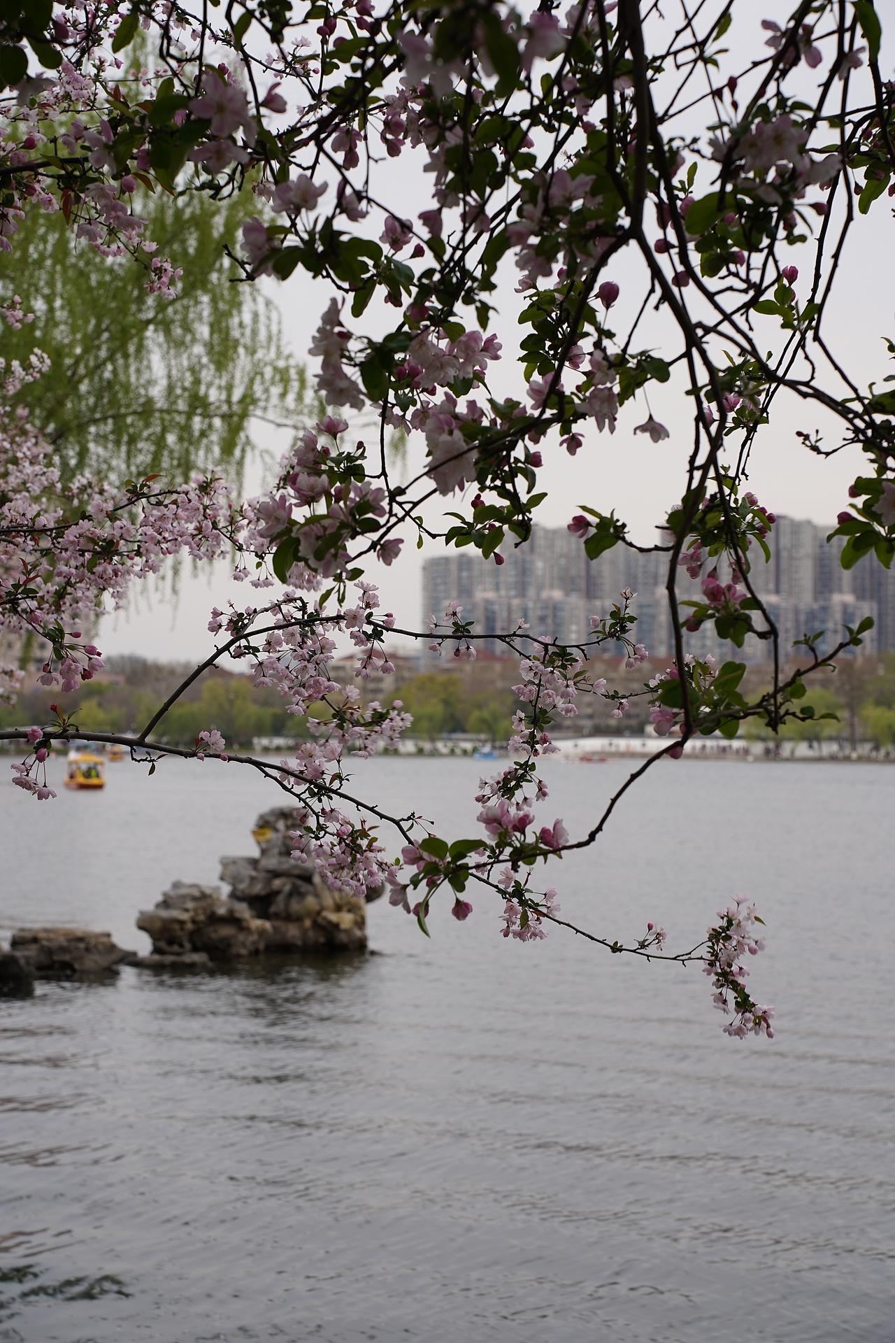 南京莫愁湖公园