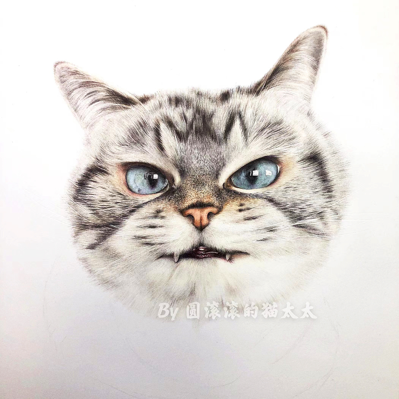 彩铅手绘【超凶】（图ZMzA0MjA1MDgw） - 绘画 - 站酷设计师圆滚滚的猫太太原创素材 - 站酷ZCOOL