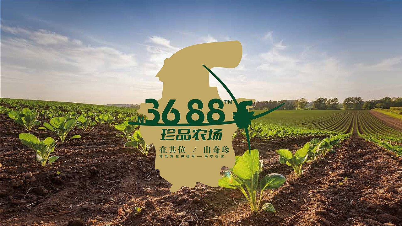 农场品牌设计案例|3688珍品农场 在其位·出奇珍（图ZMzQxMDE3MTQw） - 品牌 - 站酷设计师象造文创原创素材 - 站酷ZCOOL