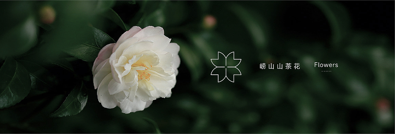 华润·悦府提报（图ZMzI5Njg4NTQ0） - 其他平面 - 站酷设计师喵崽大大原创素材 - 站酷ZCOOL