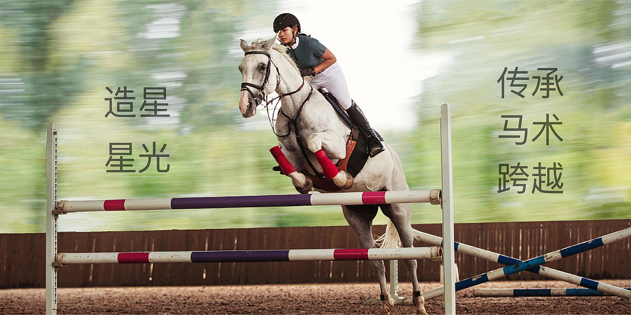 未来之星马术大赛LOGO设计——你就是最亮的那颗星