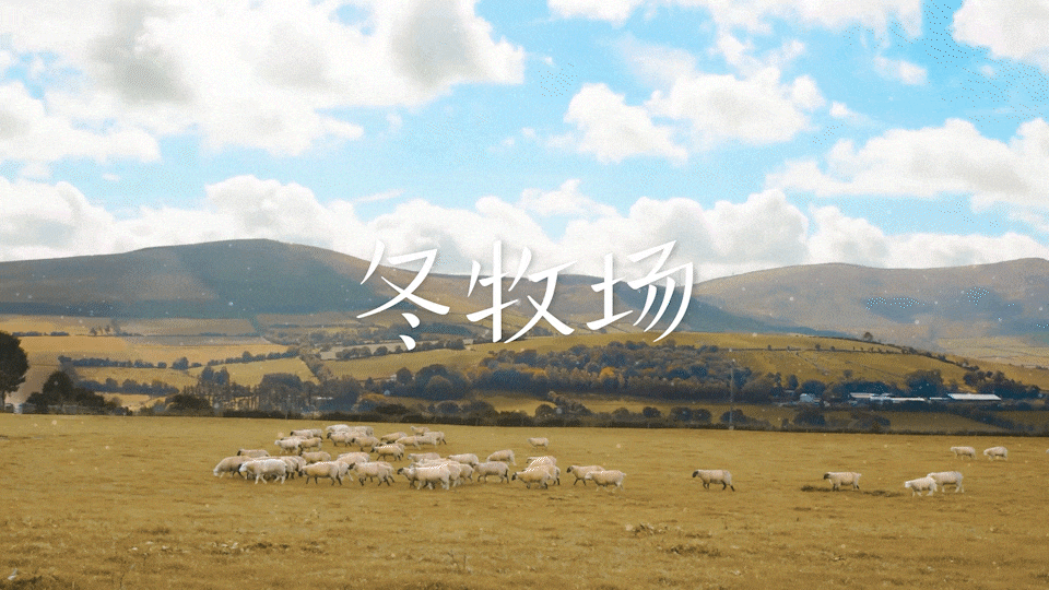 香影 《冬牧场》羽绒服呢大衣形象大片视频 tvc