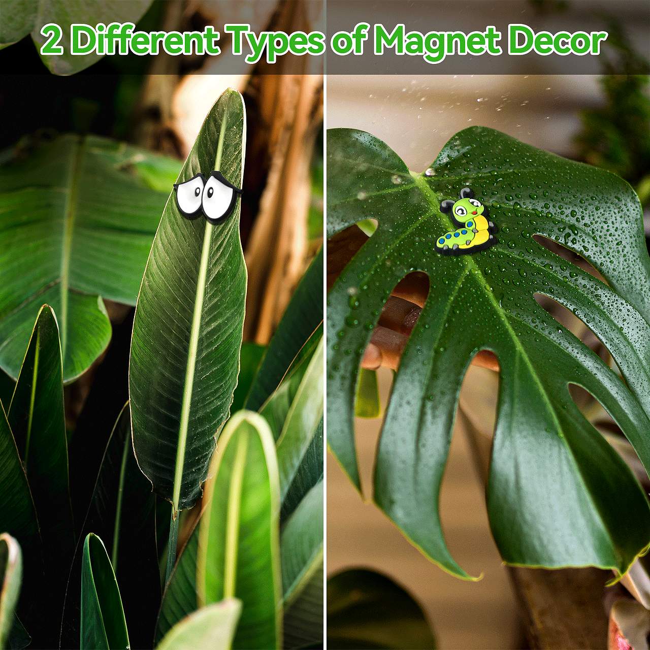 亚马逊植物装饰主图