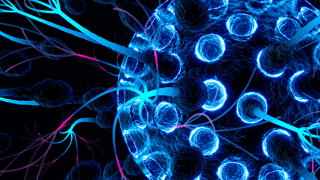 一些小幻想。。。