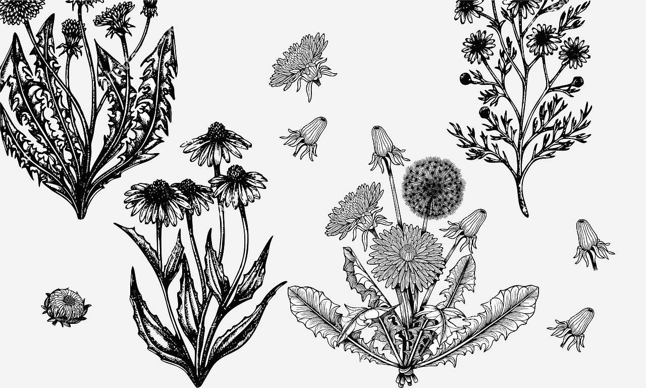 含片包装视觉形象提升